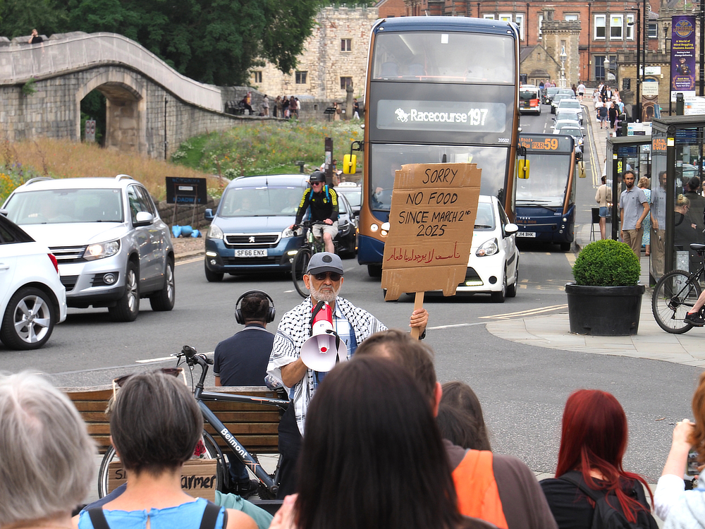 shtos of the pro Palestine demo